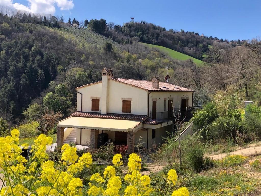 Ca'Rosei Apartment Monteciccardo Exterior photo